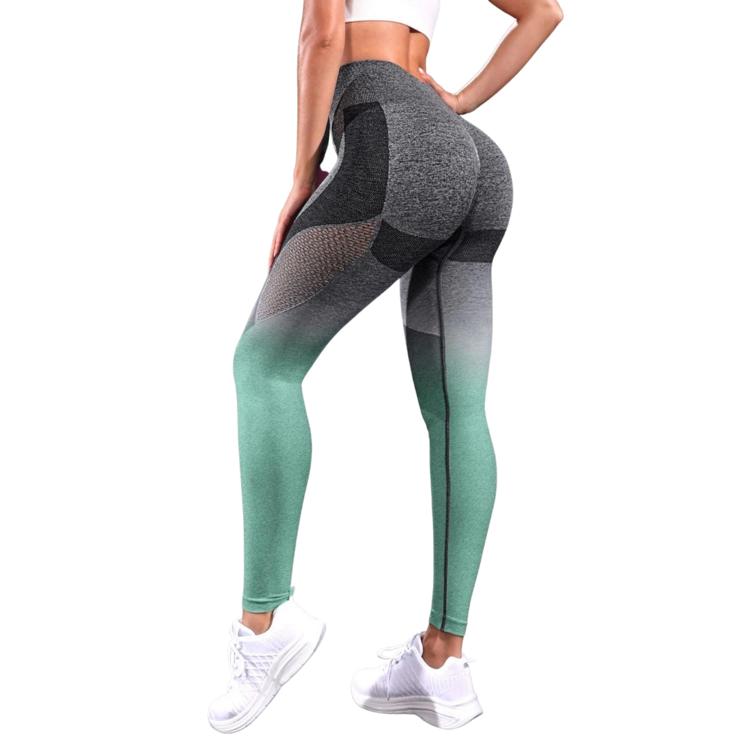 Dim Gray Mila Ombre Hollow Out Leggings